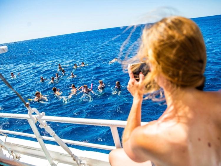 Singlereis Winterzon Egypte (HBO-WO) Genieten in El Gouna